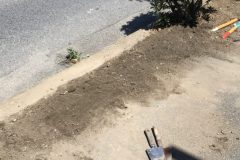 花壇のお手入れ☆